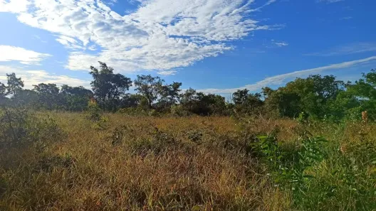 Lote/Terreno à venda, 1275m² no Vale do Igapó, Bauru