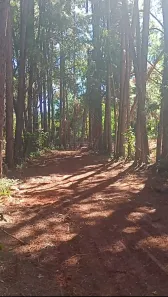 Lote/Terreno para alugar, 5500m² no Jundiaí Mirim, Jundiaí