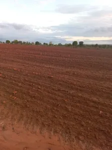 Fazenda/Sítio com 3 Quartos à venda, 986m² no Conjunto Habitacional Piracema, Barra do Garças