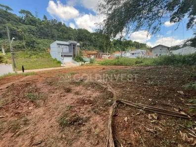 Lote/Terreno à venda, 286m² no São Pedro, Brusque