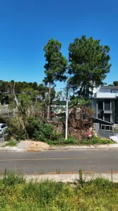 Lote/Terreno à venda, 560m² no Palace Hotel, Canela