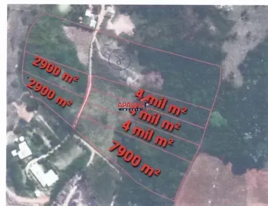 Fazenda/Sítio com 1 Quarto à venda, 7900m² no Área Rural de Viçosa, Viçosa