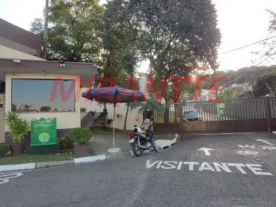 Lote/Terreno à venda, 300m² no Horto Florestal, São Paulo