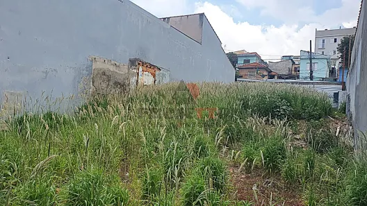 Lote/Terreno à venda, 300m² no Jardim Santo Alberto, Santo André