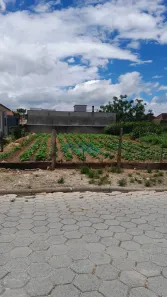 Lote/Terreno à venda, 451m² no Barra do Aririú, Palhoça