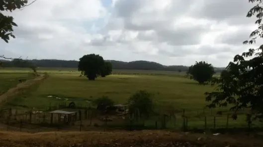 Fazenda/Sítio com 10 Quartos à venda, 4235000m² no Jardim das Palmeiras, Registro