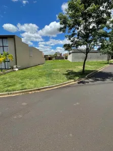 Lote/Terreno à venda, 337m² no Jardim Cybelli, Ribeirão Preto