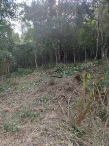 Lote/Terreno à venda, 1600m² no Itaipu, Niterói
