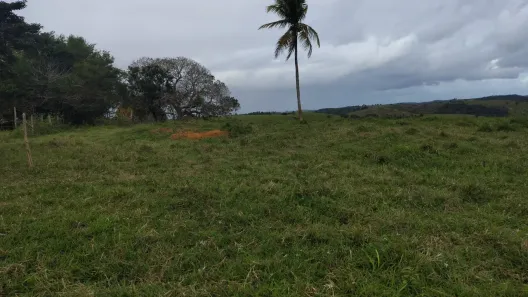 Fazenda/Sítio à venda, 100000m² no , Estância