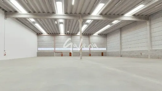 Galpão/Depósito/Armazém para alugar, 1522m² no Colônia (Zona Leste), São Paulo