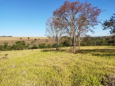 Fazenda/Sítio à venda, 20000m² no , Bela Vista de Goiás