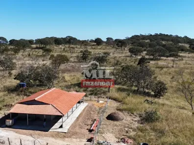 Fazenda/Sítio à venda, 500m² no Zona Rural, Piracanjuba