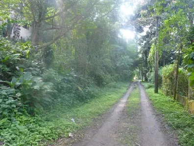 Casa com 1 Quarto à venda, 5000m² no Santa Bárbara, Niterói