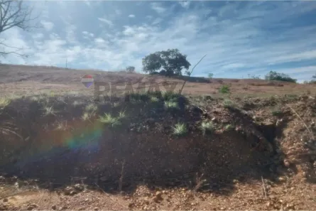 Lote/Terreno à venda, 1000m² no , Jequitibá