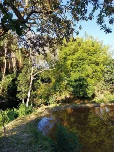 Fazenda/Sítio à venda, 2000m² no Centro, Piedade dos Gerais