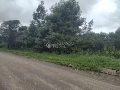Lote/Terreno à venda, 1150m² no Alpes Verdes, Canela