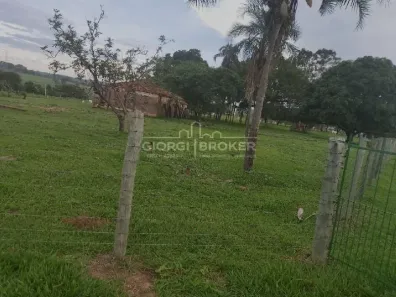 Fazenda/Sítio com 2 Quartos à venda, 57500m² no Barra Dourada, Neves Paulista