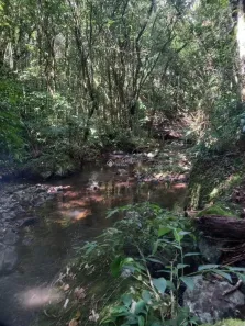 Lote/Terreno à venda, 418m² no , Canela