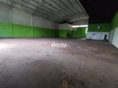 Ponto Comercial para alugar, 880m² no Custódio Pereira, Uberlândia