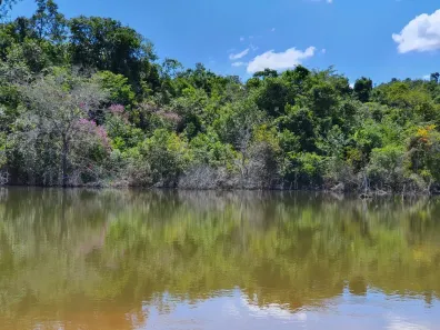 Lote/Terreno à venda, 20000m² no Jequitibá, Jequitibá