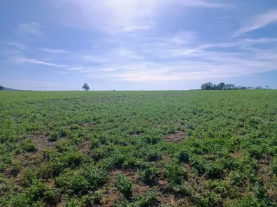 Fazenda/Sítio com 3 Quartos à venda, 1920000m² no Planaltina, Brasília