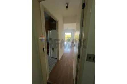 Apartamento com 2 Quartos para alugar, 50m² no Rio Pequeno, São Paulo