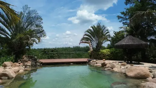 Fazenda/Sítio com 8 Quartos à venda, 5000m² no Estância da Colina, Salto