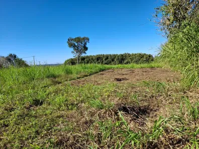 Fazenda/Sítio à venda, 100000m² no Barra Nova, Barra do Choça