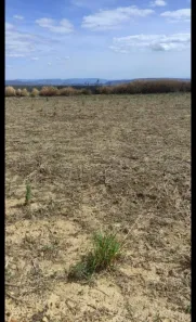 Fazenda/Sítio à venda no , São João d'Aliança