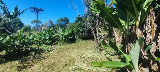 Lote/Terreno à venda, 200m² no Jardim San Ressore (Caucaia do Alto), Cotia