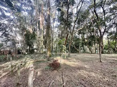 Lote/Terreno à venda, 1175m² no Parque Rincão, Cotia