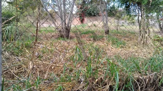 Lote/Terreno à venda, 336m² no Jardim das Paineiras, Campinas