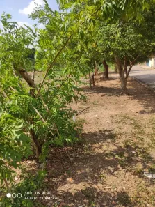 Lote/Terreno à venda, 20000m² no Vila Orestes, Itapetininga