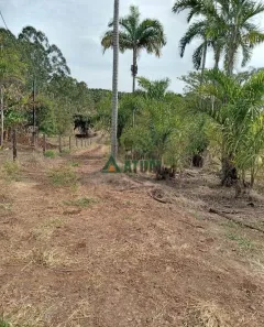 Fazenda/Sítio à venda, 22945m² no Maravilha, Londrina