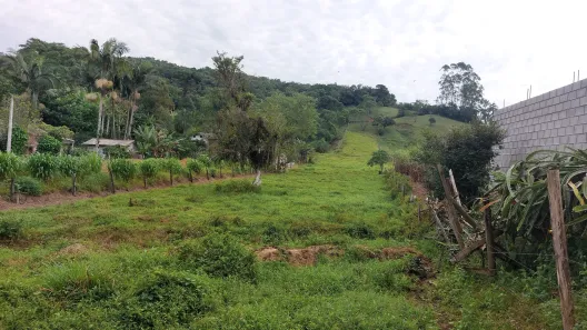 Fazenda/Sítio à venda, 6100m² no Centro, Santo Amaro da Imperatriz