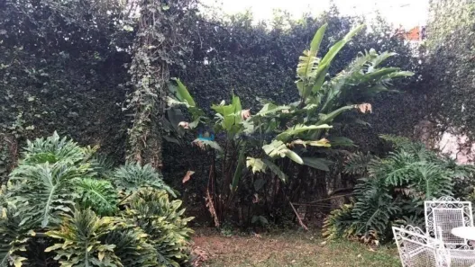Lote/Terreno à venda, 1252m² no Jabaquara, São Paulo