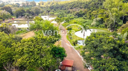 Fazenda/Sítio à venda, 700m² no Bairro Limoeiro, Londrina