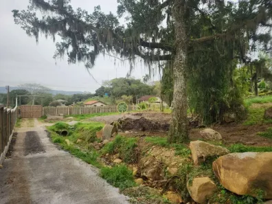 Lote/Terreno à venda, 38760m² no Ratones, Florianópolis