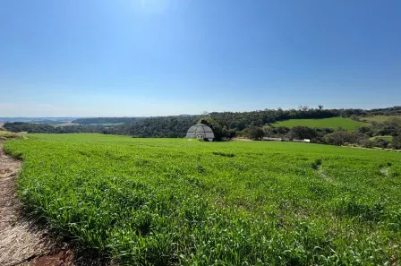 Lote/Terreno à venda, 27834m² no São Cristóvão, Pato Branco