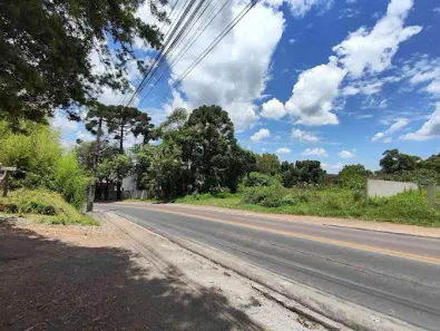 Fazenda/Sítio com 1 Quarto à venda, 120m² no Planta Meireles Sobrinho, Piraquara
