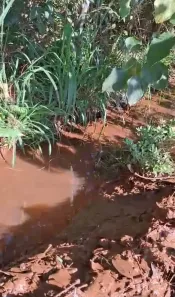 Fazenda/Sítio com 1 Quarto à venda, 500m² no União 2ª Seção, Igarapé