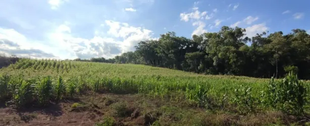 Lote/Terreno à venda, 20000m² no , São José do Hortêncio