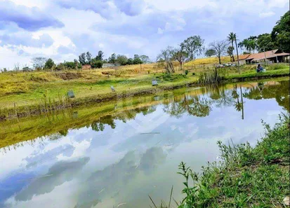 Fazenda/Sítio com 4 Quartos à venda, 60000m² no Rio Verde, Bauru