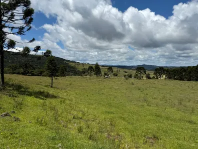 Lote/Terreno à venda, 20000m² no , Urupema