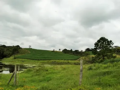 Fazenda/Sítio à venda, 700000m² no , Bom Retiro
