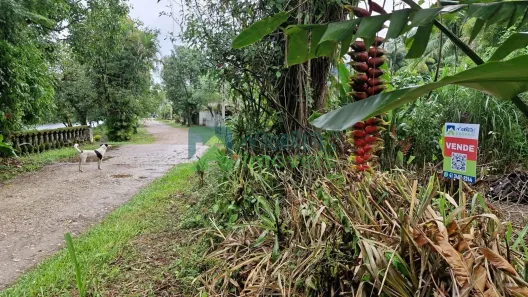 Lote/Terreno à venda, 500m² no Porto de Cima, Morretes
