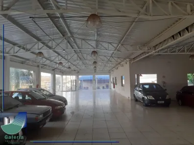 Galpão/Depósito/Armazém para alugar, 558m² no Vila Tibério, Ribeirão Preto