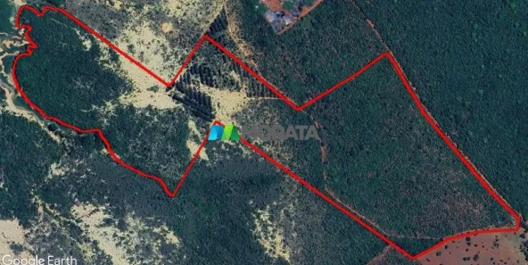 Fazenda/Sítio com 1 Quarto à venda, 43m² no , Morada Nova de Minas