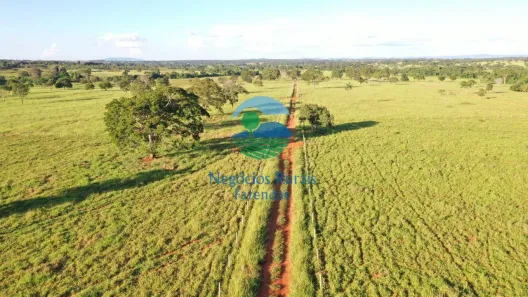 Fazenda/Sítio com 7 Quartos à venda, 2000m² no , Mara Rosa