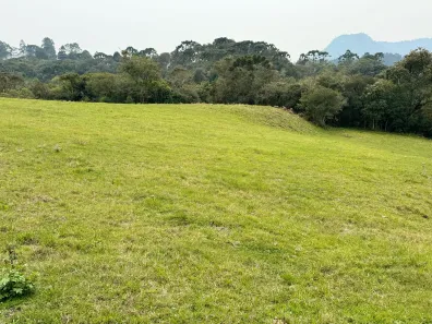Fazenda/Sítio à venda, 20000m² no Águas Brancas, Urubici